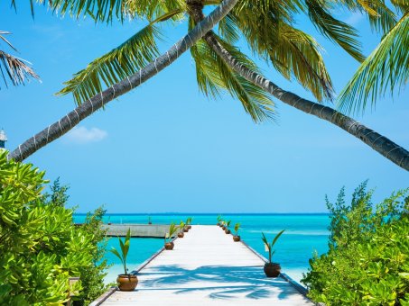 Die beste Reisezeit für die Malediven