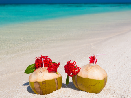 Seychellen vs. Malediven: Welches Reiseziel ist besser?