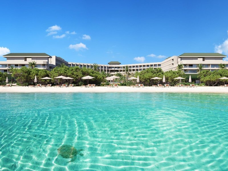 Reise mit den günstigen Urlaubsangeboten von Travioro nach Aruba und genieße die schönsten Strände der Welt