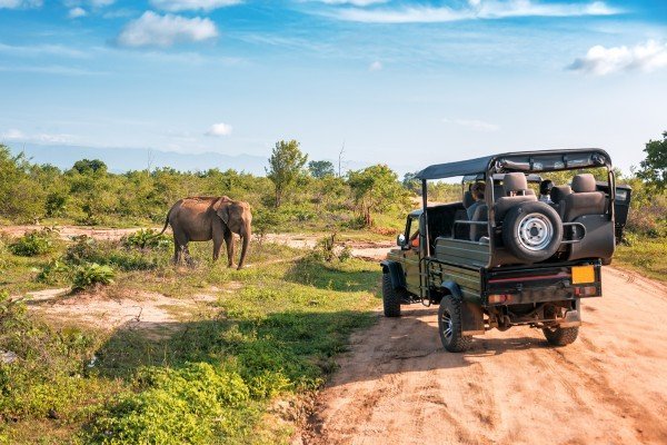 Afrika Rundreisen in Kenia mit Flug + Hotels bei Travioro entdecken