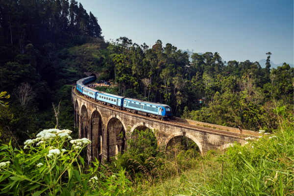 Sri Lanka Rundreisen mit Flug + Hotels bei Travioro entdecken