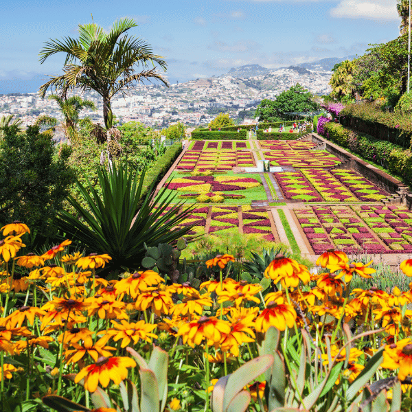 Madeira ist ein traumhaftes Urlaubsziel für Familien, Singles und Paare