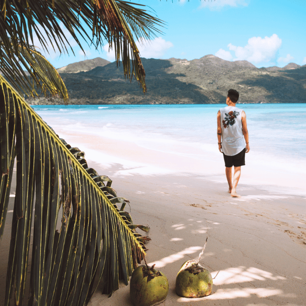 Buche deine traumhafte Fernreise nach Puerto Plata und Samana mit Travioro