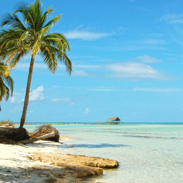 Jetzt Fernreise Angebote für Kuba bei Travioro entdecken und Urlaub in Cayo Coco erleben