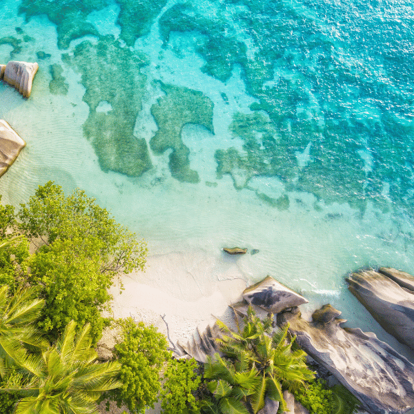 Erlebe mit Travioro eine unvergessliche Fernreise auf den Seychellen