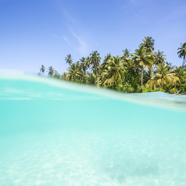 Buche deine unvergessliche Sumatra Fernreise mit den besten Angeboten von Travioro