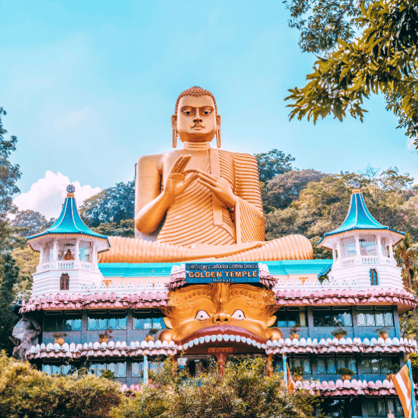 Erlebe mit Travioro eine unvergessliche Fernreise auf Sri Lanka